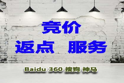 SEM代理的优化策略及成功案例